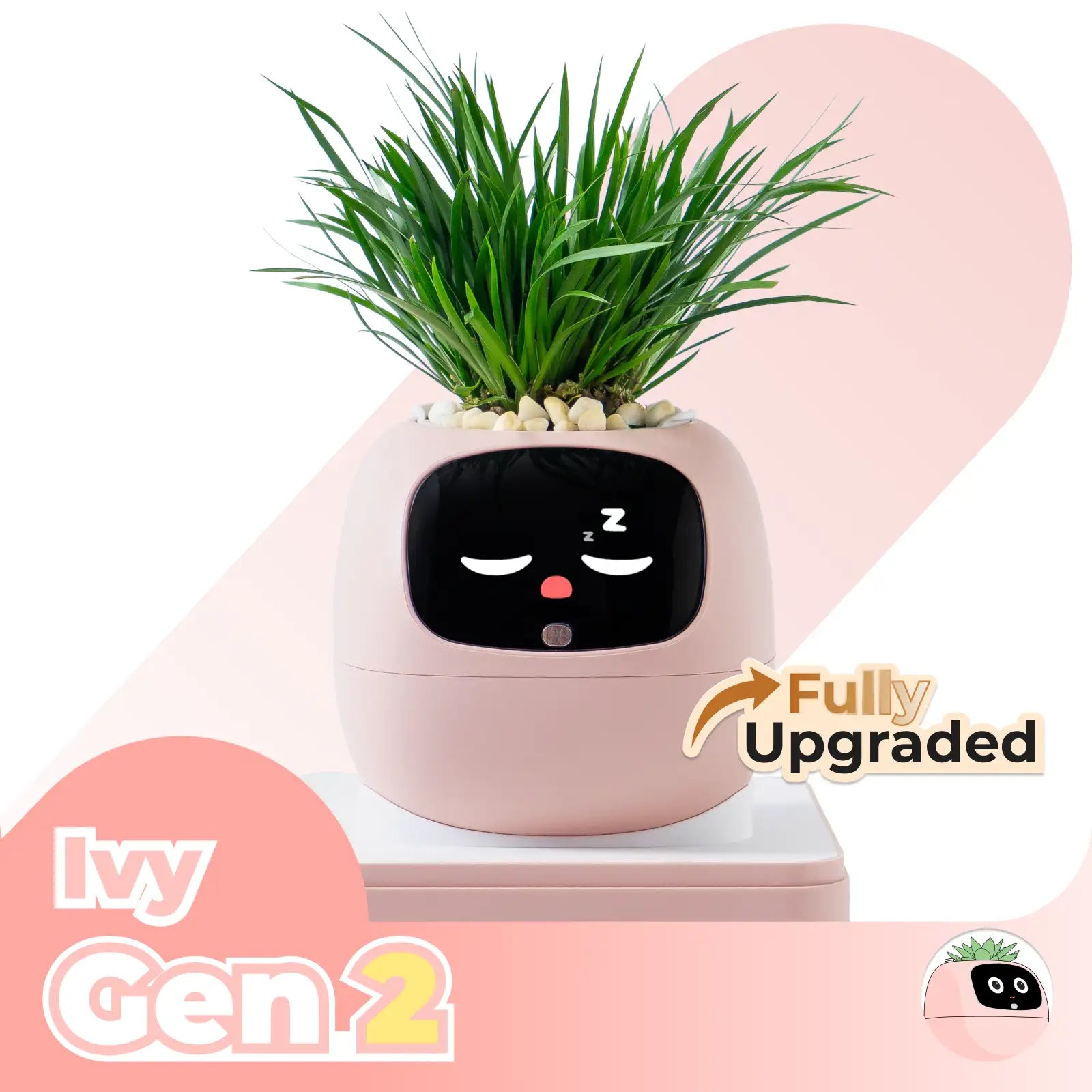 Ivy Gen 2