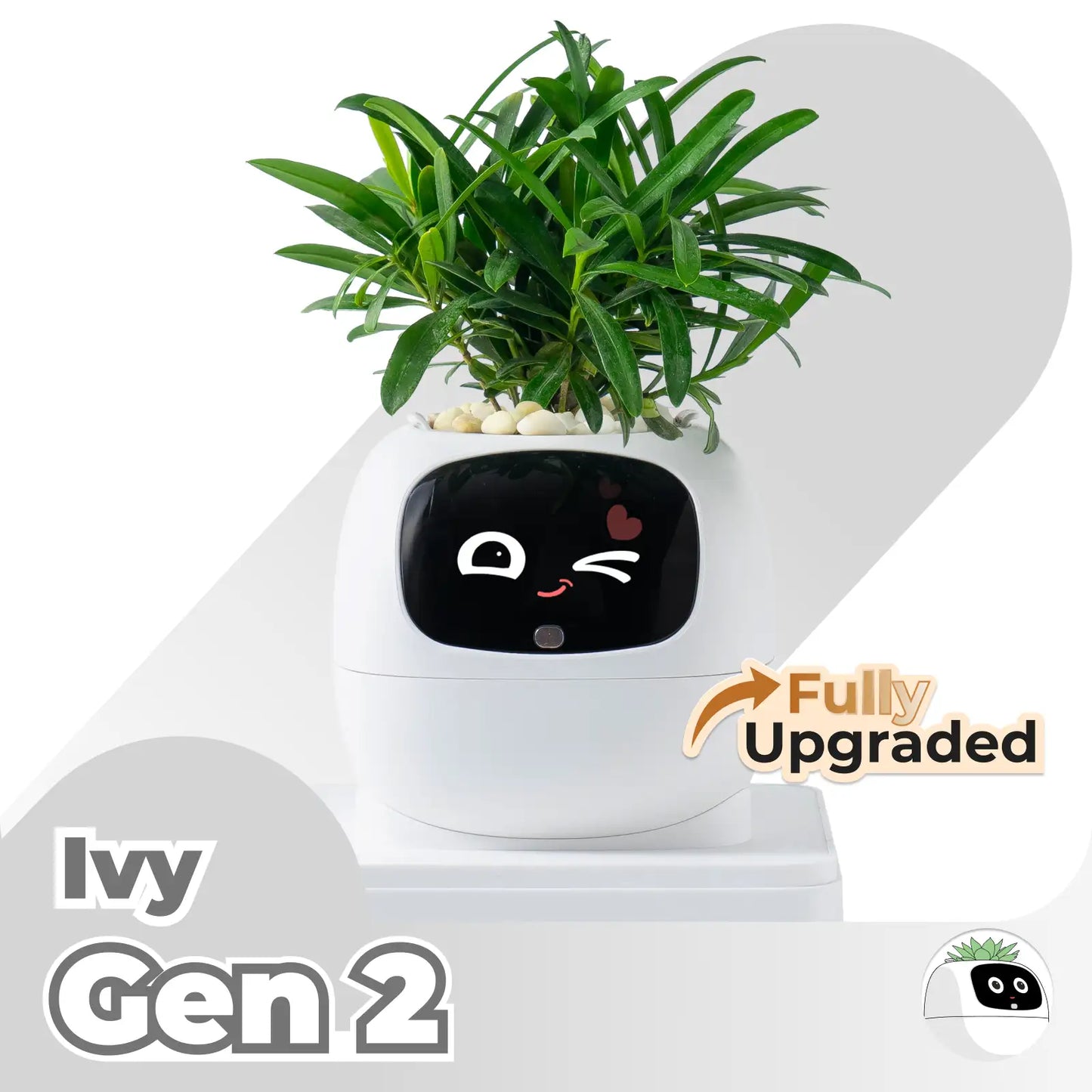 Ivy Gen 2