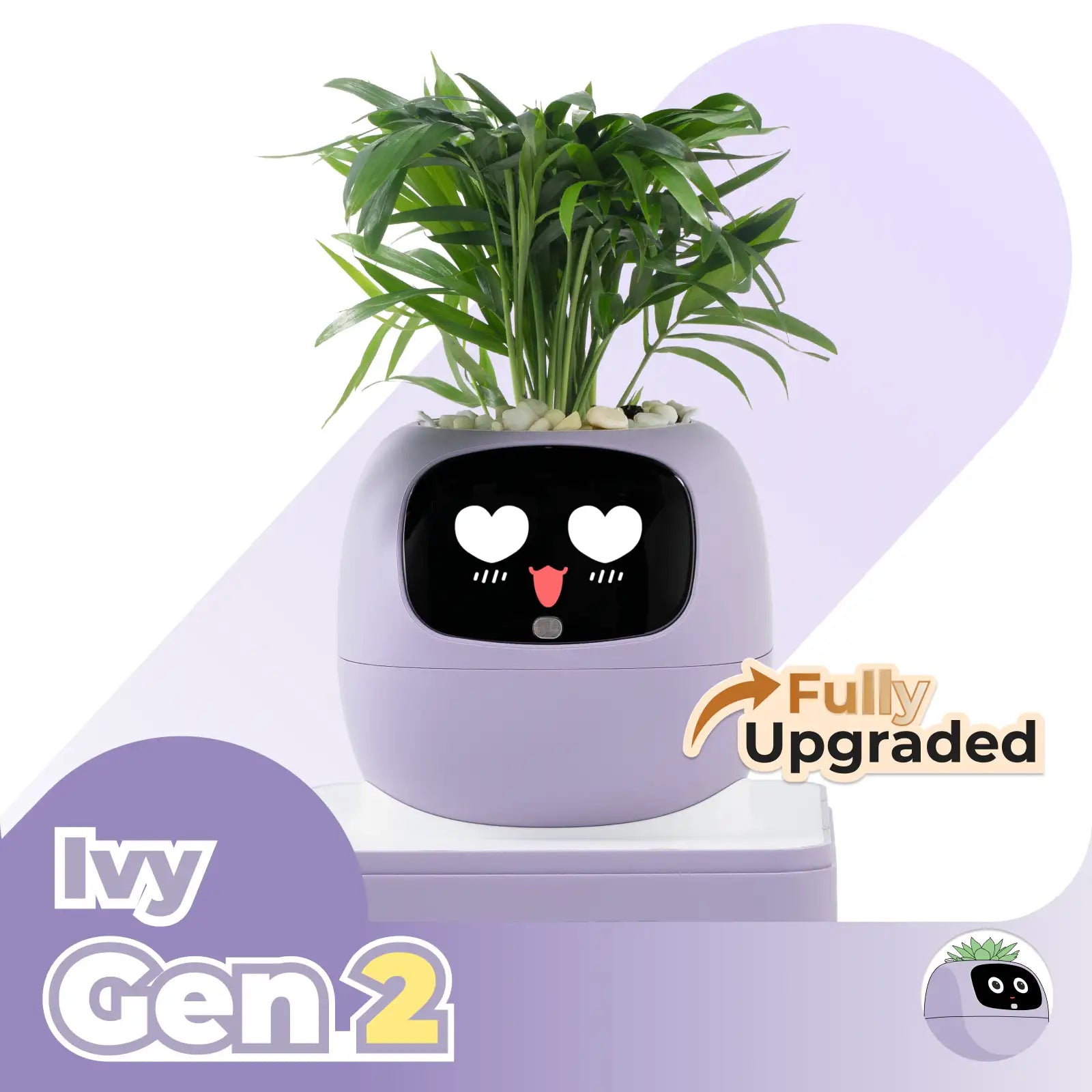 Ivy Gen 2