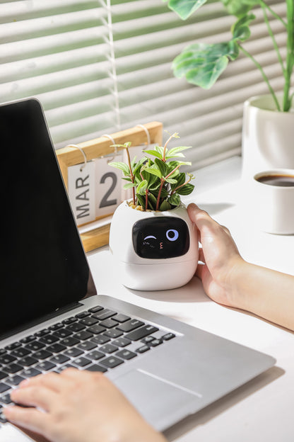 Ivy Smart Planter
