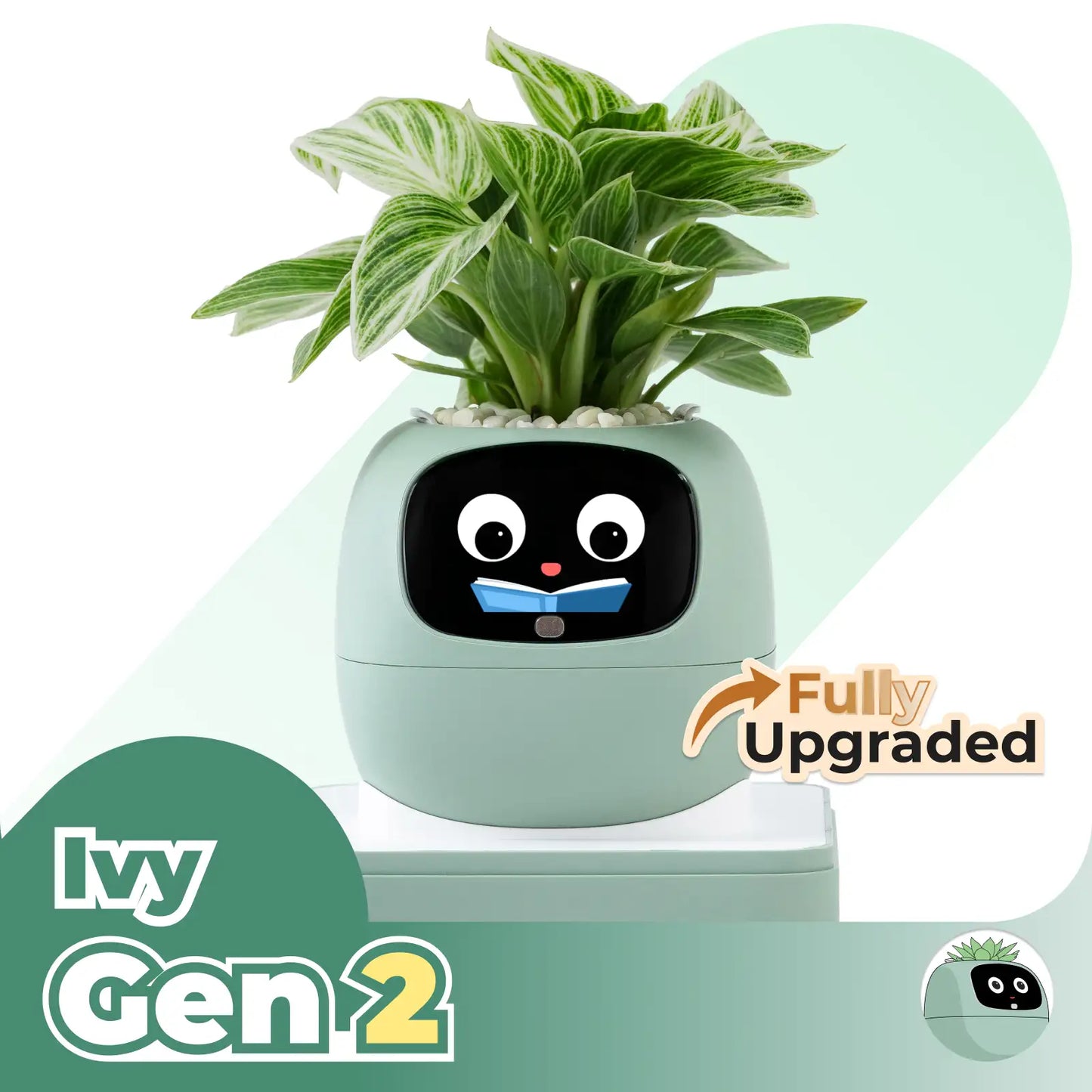 Ivy Gen 2