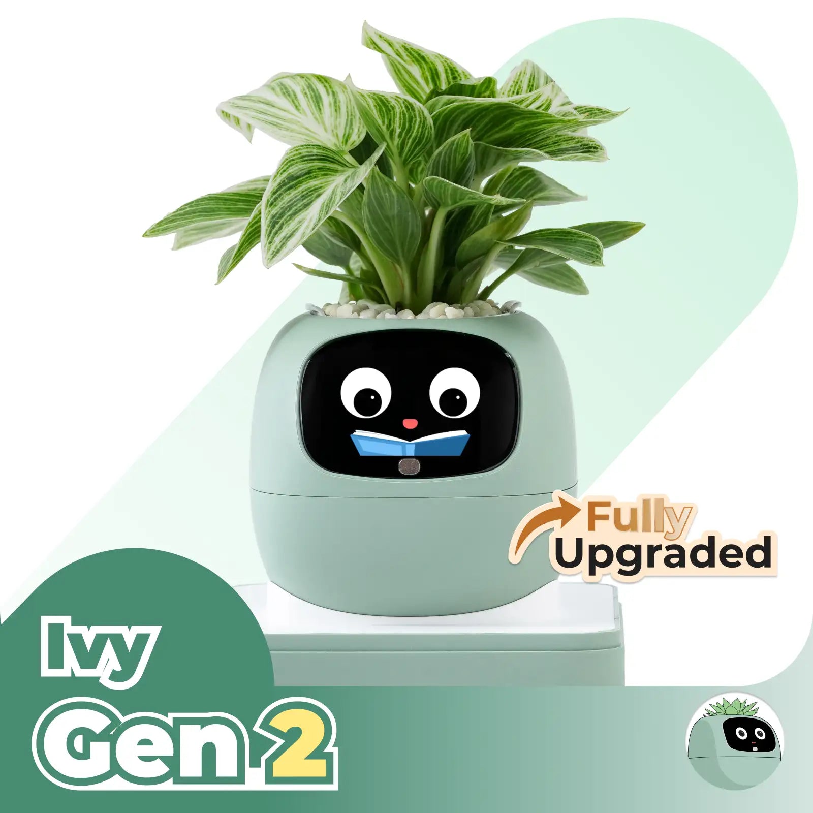 Ivy Gen 2