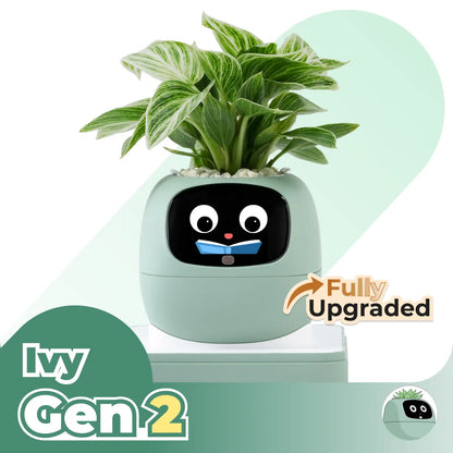 Ivy Gen 2