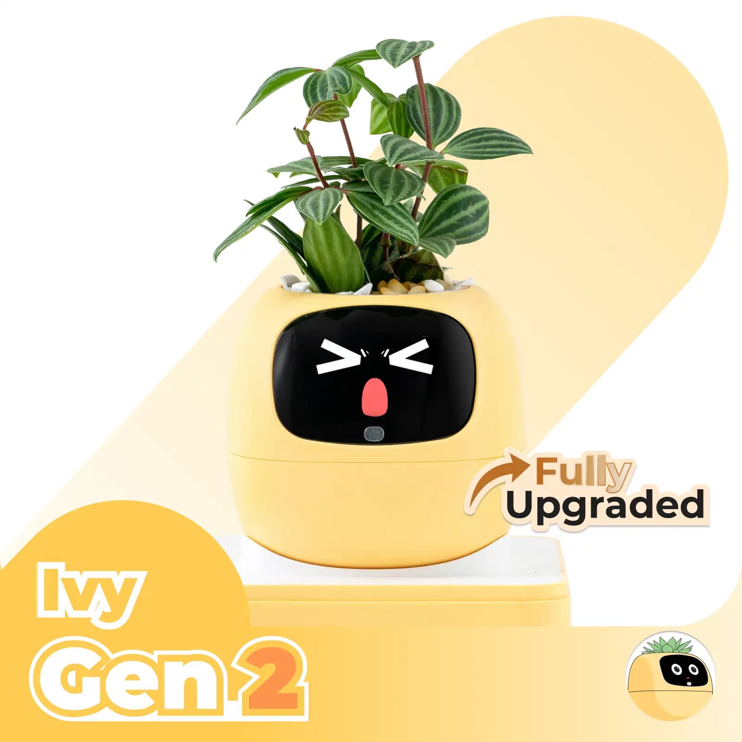 Ivy Gen 2
