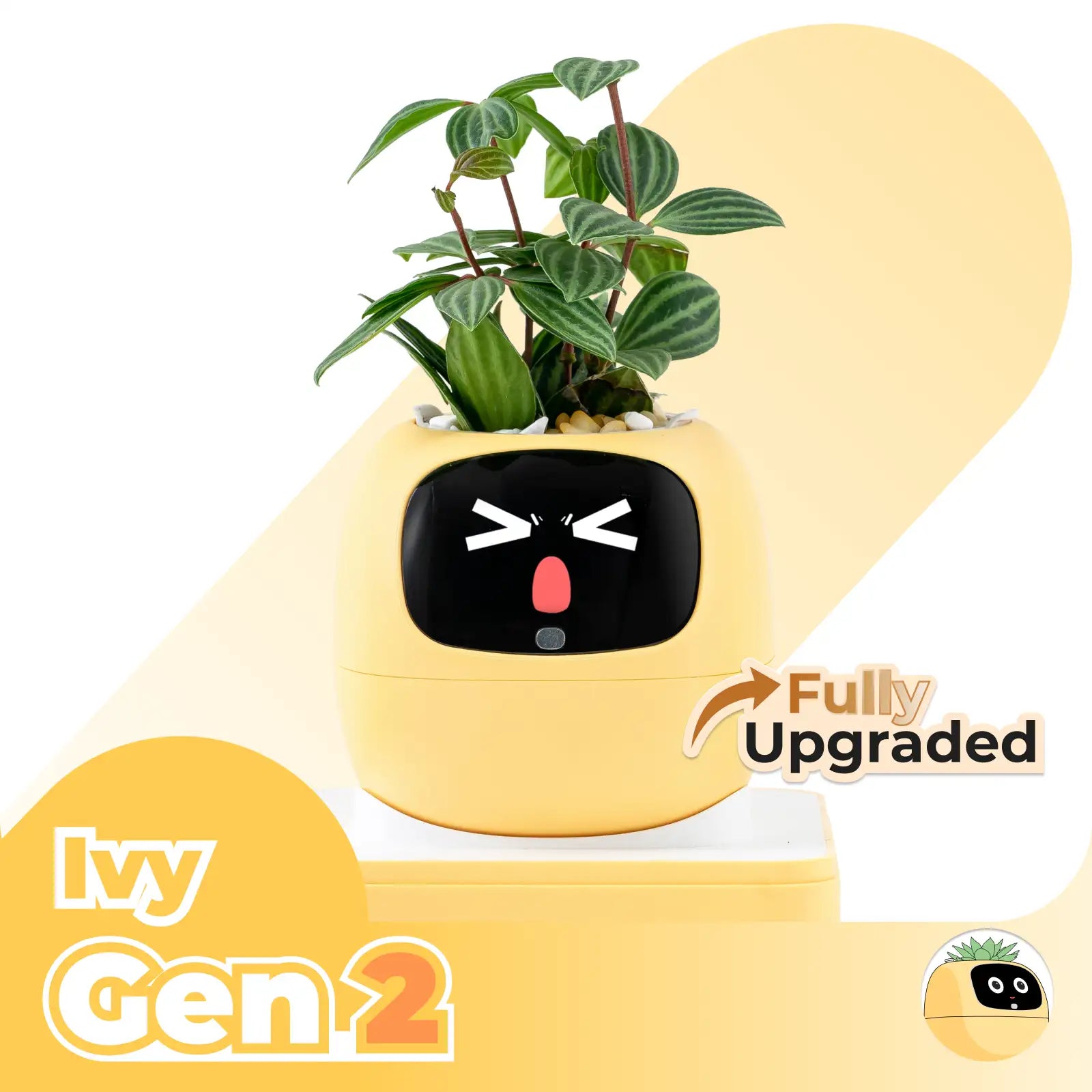Ivy Gen 2